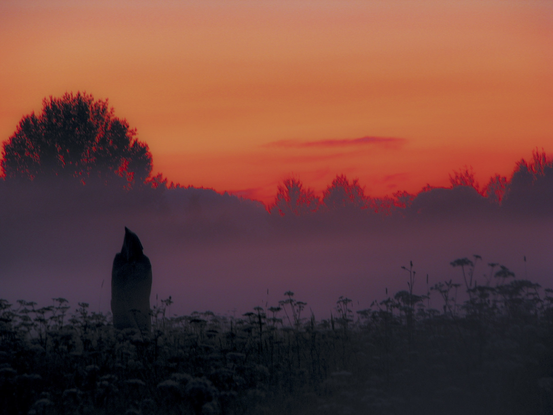 Previous pigeonhole => Daybreaks and Twilights (I) // Petr Nuska - Photography - woreshack.cz